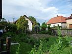 Třibřichy